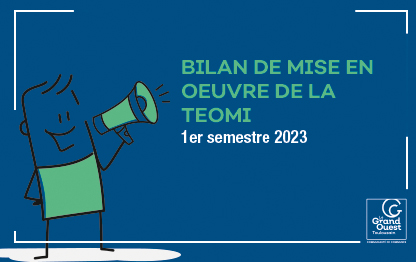 Bilan de mise en œuvre de la TEOMI
